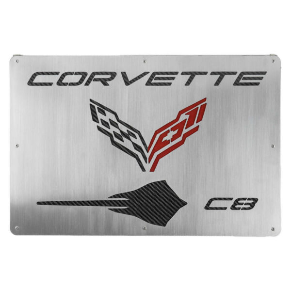 Fabspeed Carbon Fiber Wall Art - Corvette C8 Stingray