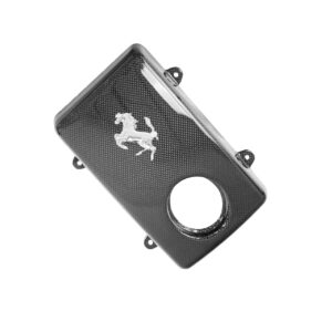 Carbon Fiber Coolant Tank Cover With Tabs and Cavallino - Ferrari F430