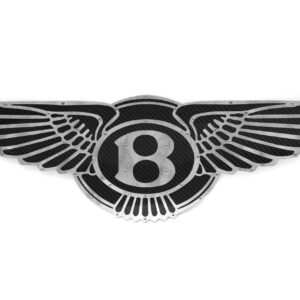 Fabspeed Carbon Fiber Wall Art - Bentley