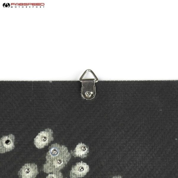 Fabspeed Carbon Fiber Wall Art - Shelby GT350 - Image 4