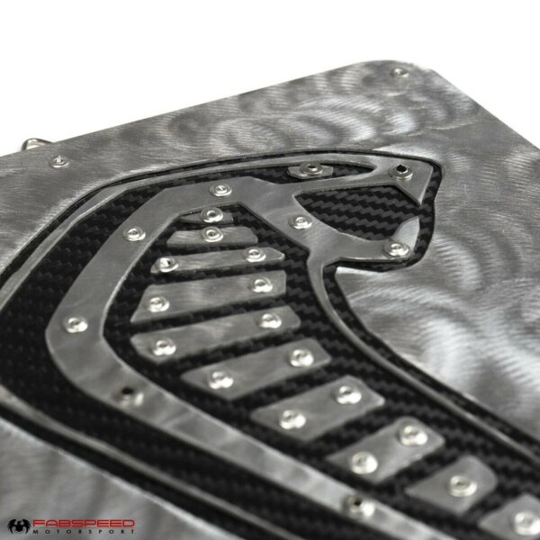 Fabspeed Carbon Fiber Wall Art - Shelby GT350 - Image 3