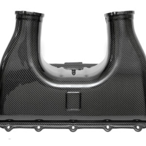 Fabspeed Ferrari 458 Italia Carbon Fiber Airbox Cover (2010-2015)