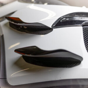 Dual Carbon Dive Planes (991.1 GT3 and GT3RS)